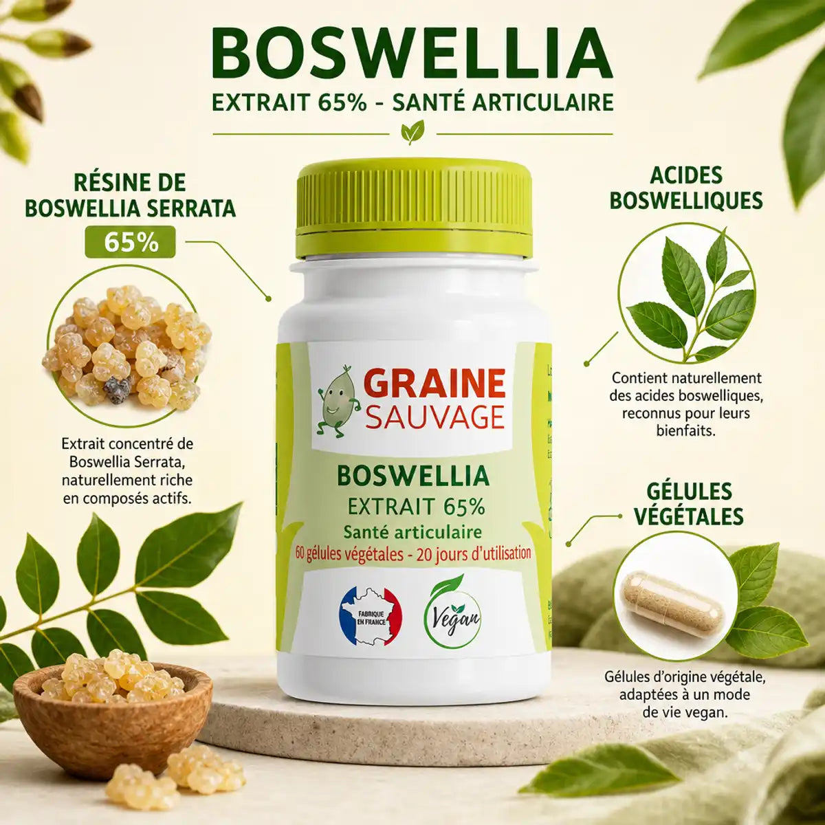 Extrait de Boswellia 60 gélules Graine Sauvage avec infographie des ingrédients actifs et acides boswelliques