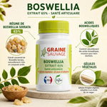 Extrait de Boswellia 60 gélules Graine Sauvage avec infographie des ingrédients actifs et acides boswelliques