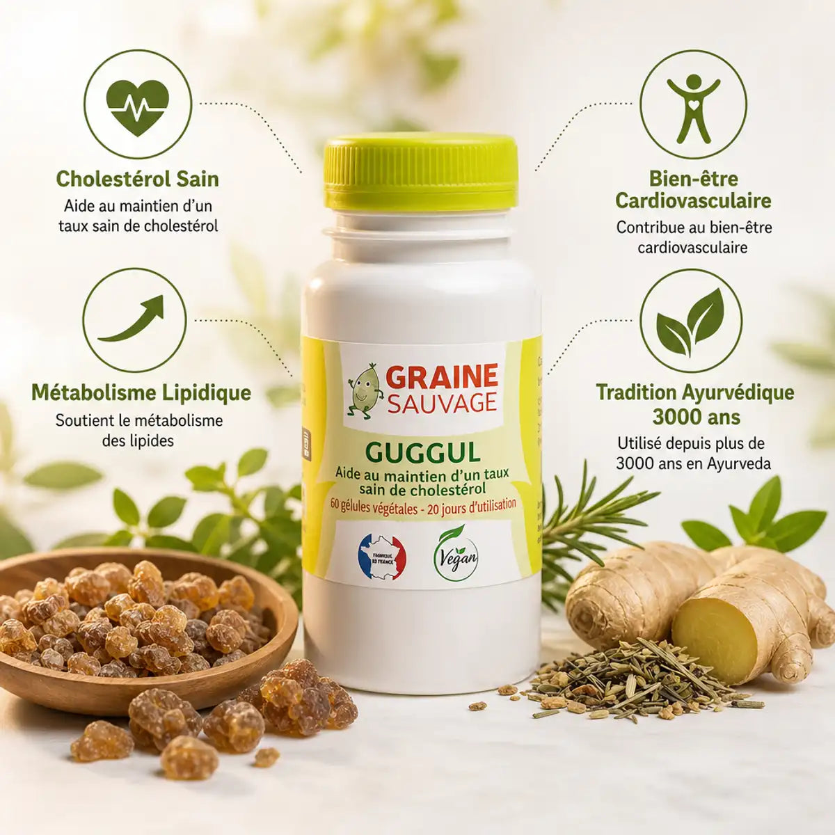Extrait de Guggul vegan 60 gélules Graine Sauvage avec bénéfices cholestérol et métabolisme lipidique