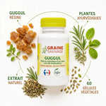Extrait de Guggul vegan 60 gélules Graine Sauvage avec ingrédients naturels et plantes ayurvédiques
