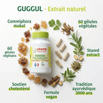 Extrait de Guggul vegan 60 gélules Graine Sauvage avec ingrédients naturels Commiphora mukul