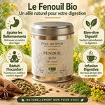 Fenouil Grain Bio Place des Épices - Infographie bien-être digestif avec boîte produit et bénéfices santé