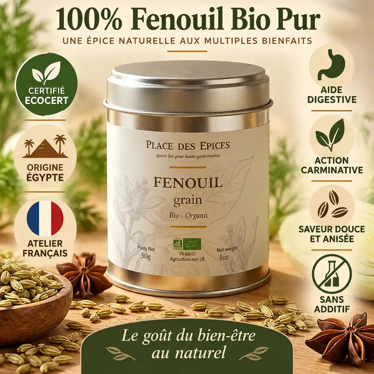 Fenouil grain bio 60g Place des épices - boîte métallique certifiée Ecocert, origine Égypte, atelier français