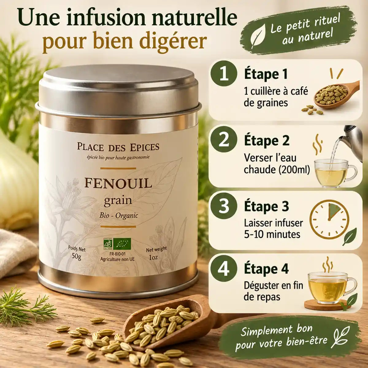Fenouil Grain Bio Place des Épices - Boîte métallique avec guide d'infusion en 4 étapes