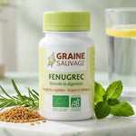 Graine Sauvage Fenugrec bio vegan en gélules avec graines et herbes sur marbre