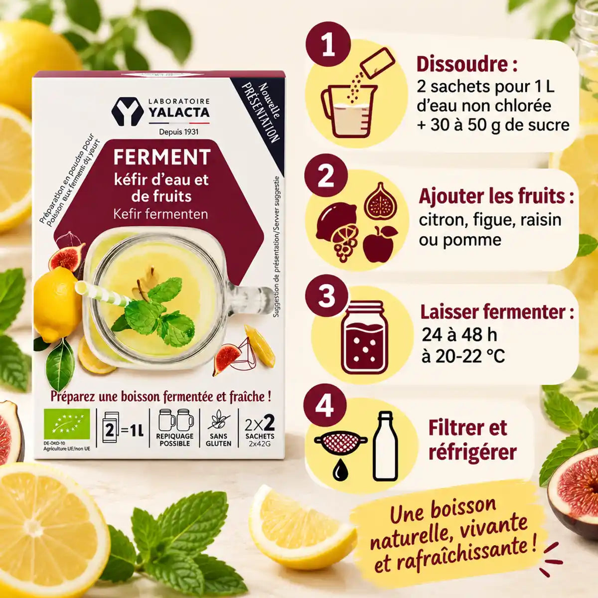 Ferment kéfir d'eau Yalacta bio aux fruits, boîte produit et 4 étapes de fermentation : dissoudre, ajouter les fruits, fermenter, filtrer