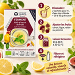 Ferment kéfir d'eau Yalacta bio aux fruits, boîte produit et 4 étapes de fermentation : dissoudre, ajouter les fruits, fermenter, filtrer