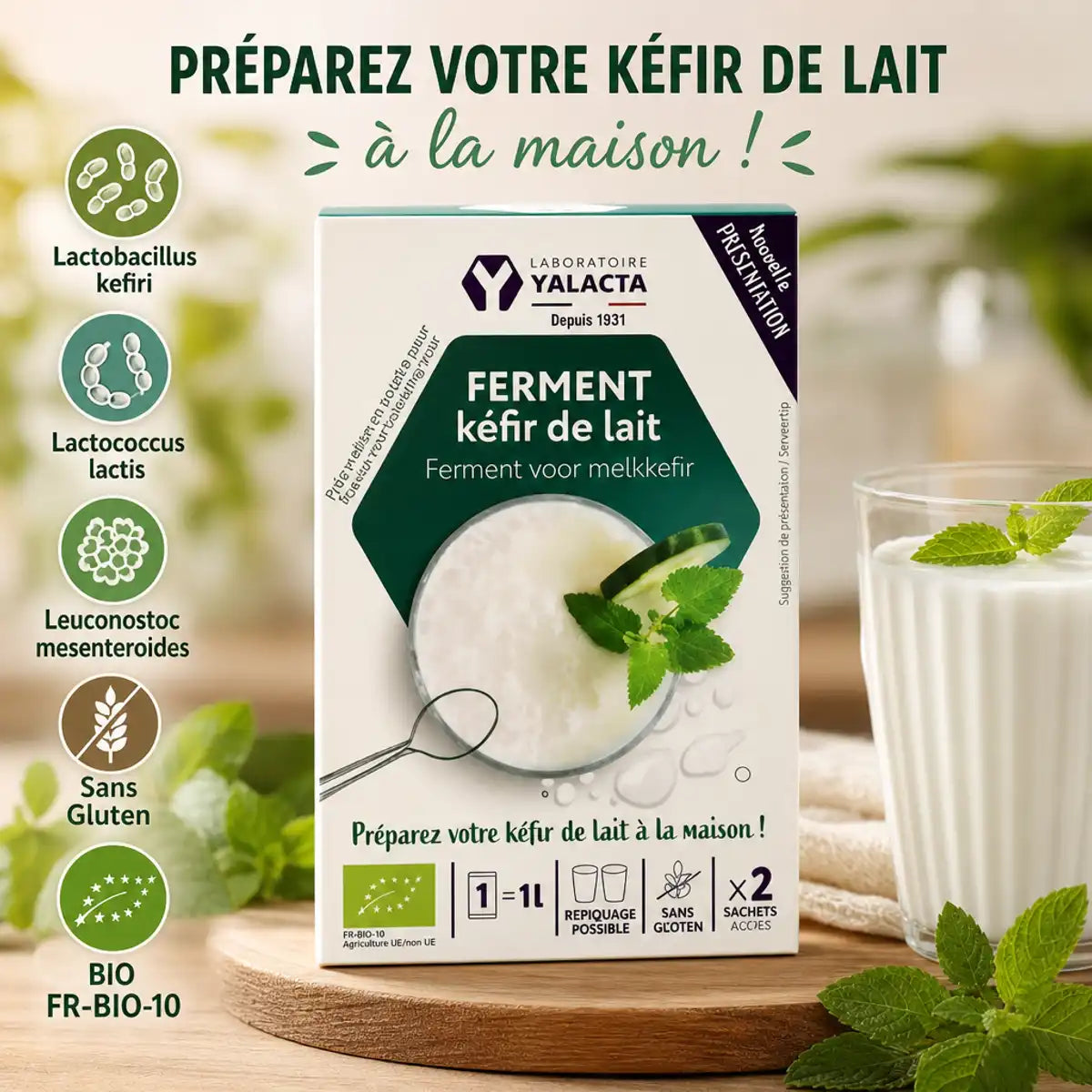 Ferment Kéfir de lait bio Yalacta 2 sachets avec certifications et ingrédients probiotiques