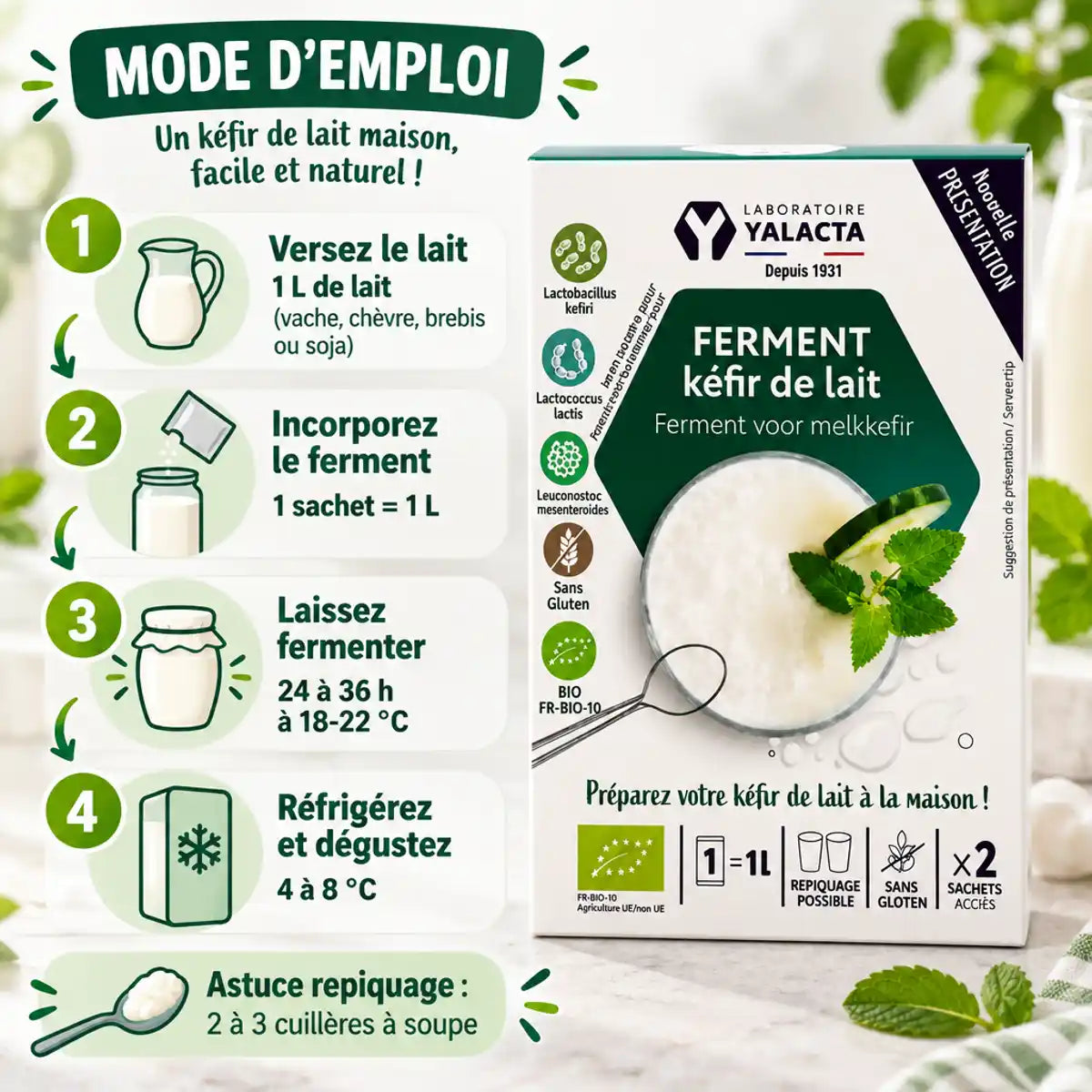 Ferment kéfir de lait bio Yalacta en sachet, avec mode d'emploi en 4 étapes : lait, ferment, fermentation et réfrigération.
