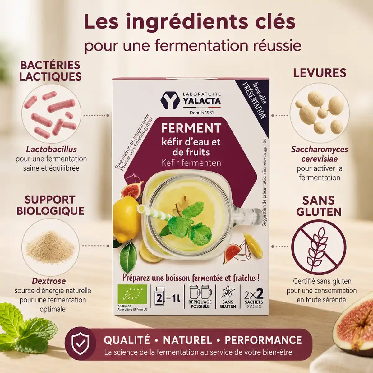Ferment Kéfir d'eau Yalacta bio avec bactéries lactiques, levures et certification sans gluten