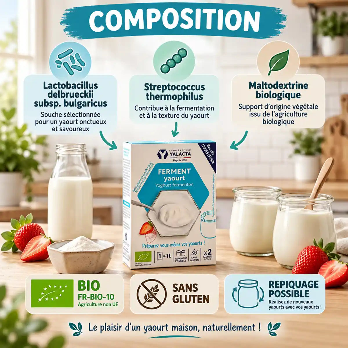 Ferment yaourt bio Yalacta en sachets avec composition et certifications, pots de yaourt maison et fruits frais