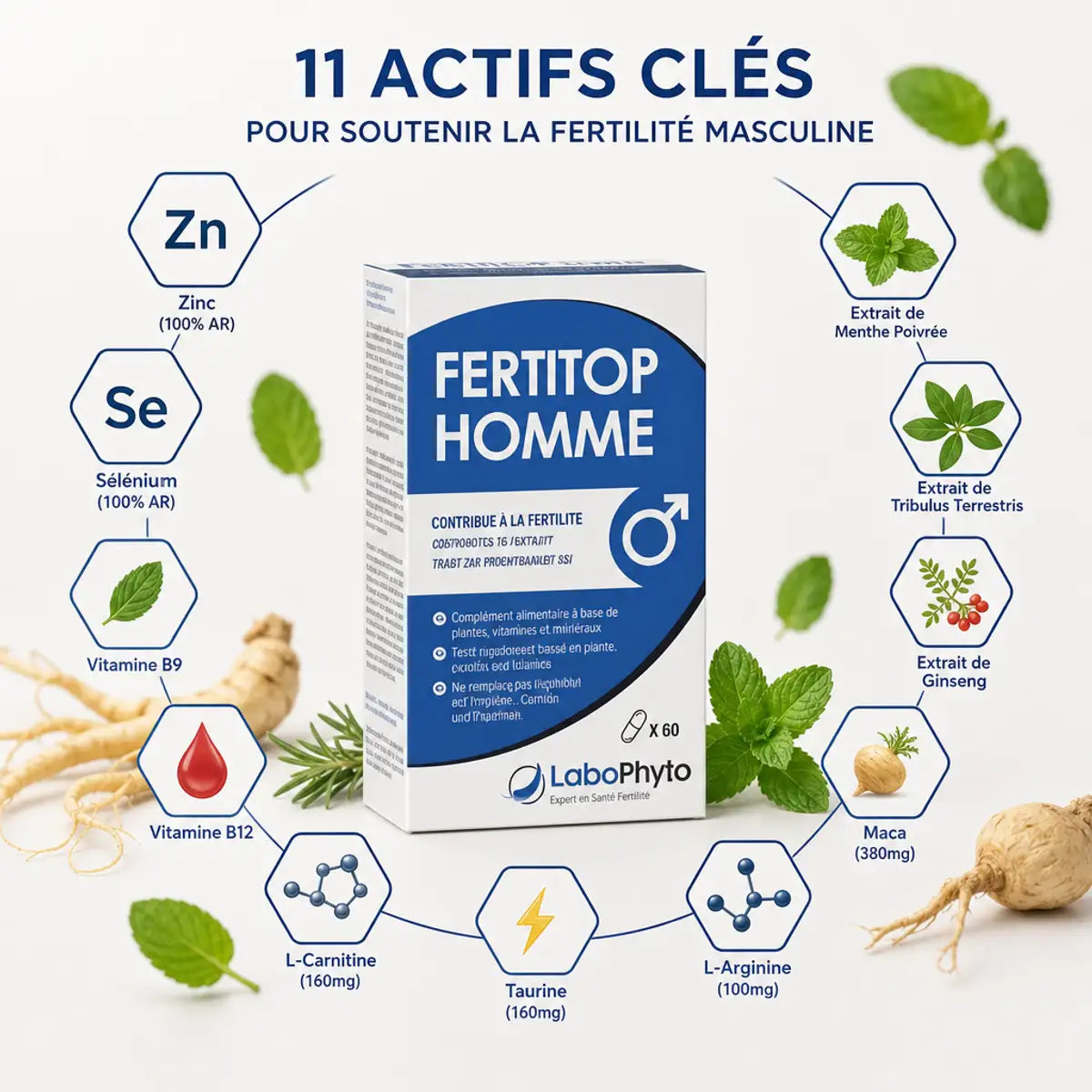 Fertitop Homme 60 gélules avec ses 11 ingrédients actifs : Zinc, Sélénium, Vitamines B et acides aminés pour la fertilité