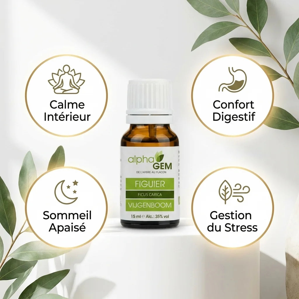 Figuier bio Alphagem 15ml avec bénéfices: calme, confort digestif, sommeil et stress