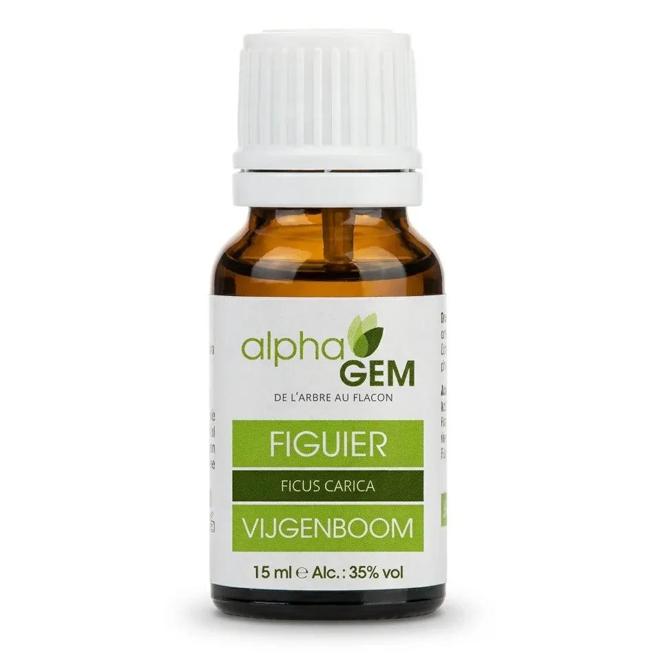 Figuier Bio Alphagem 15ml - Flacon compte-gouttes verre ambré