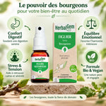 Figuier Bio en Spray 15ml HerbalGem avec bénéfices stress, digestion et équilibre émotionnel