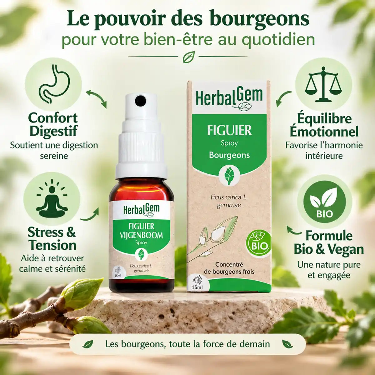 Figuier Bio en Spray 15ml HerbalGem avec bénéfices stress, digestion et équilibre émotionnel
