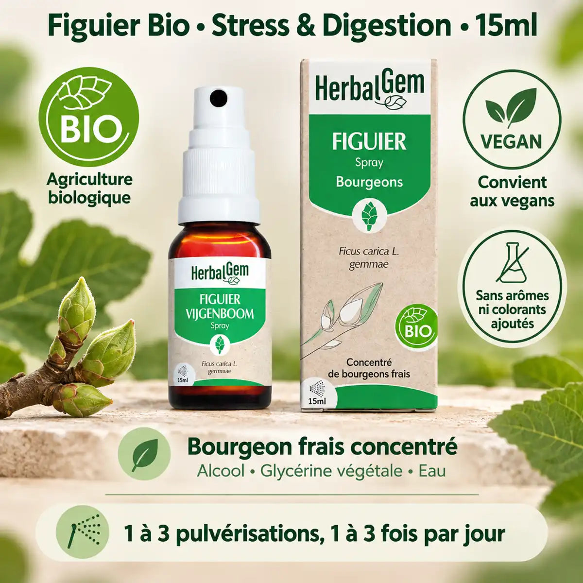 Figuier Bio Spray 15ml HerbalGem pour stress et digestion avec certifications bio et vegan