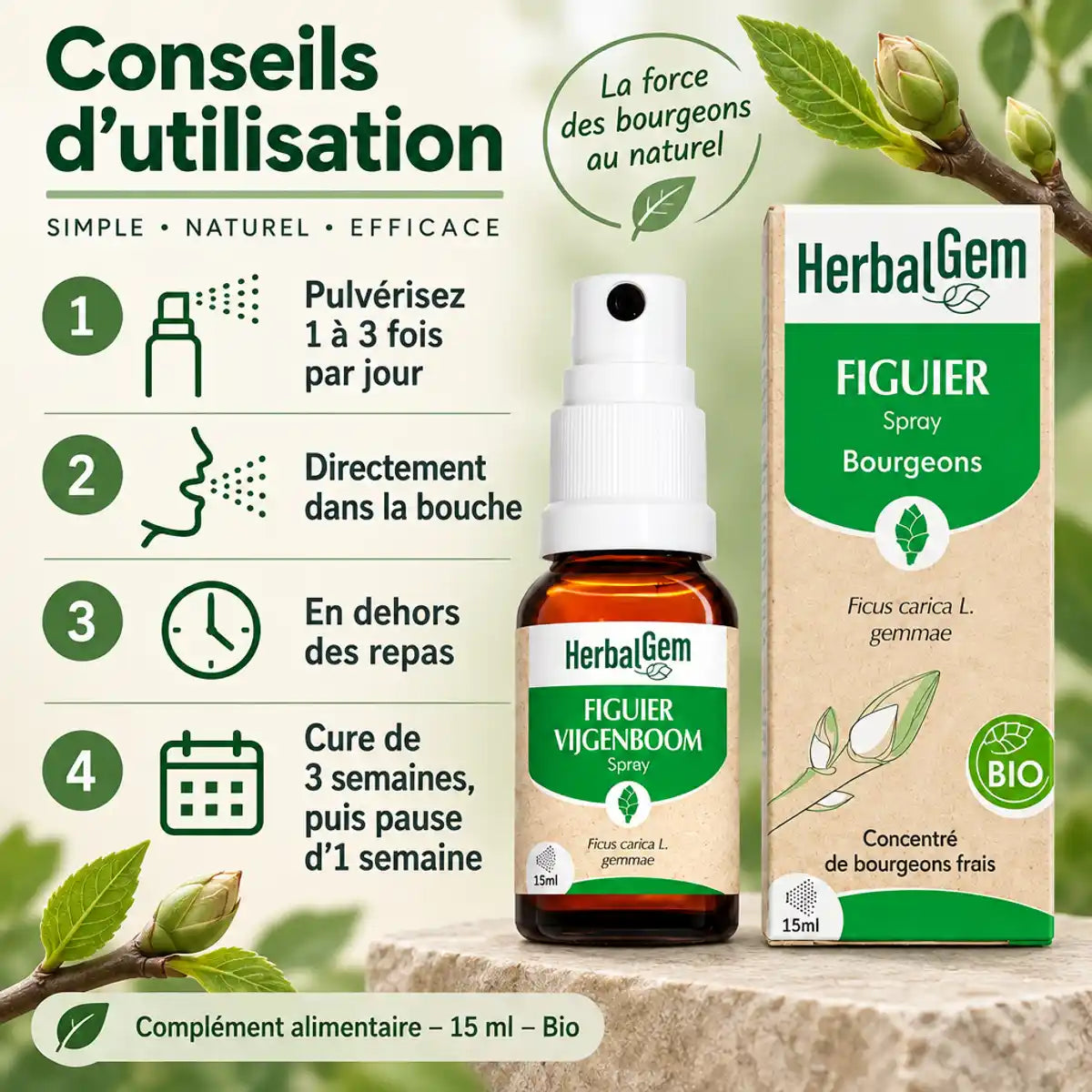 Figuier Bio en spray HerbalGem 15 ml à côté de son étui, avec mode d'emploi : 1 à 3 pulvérisations par jour, en dehors des repas.