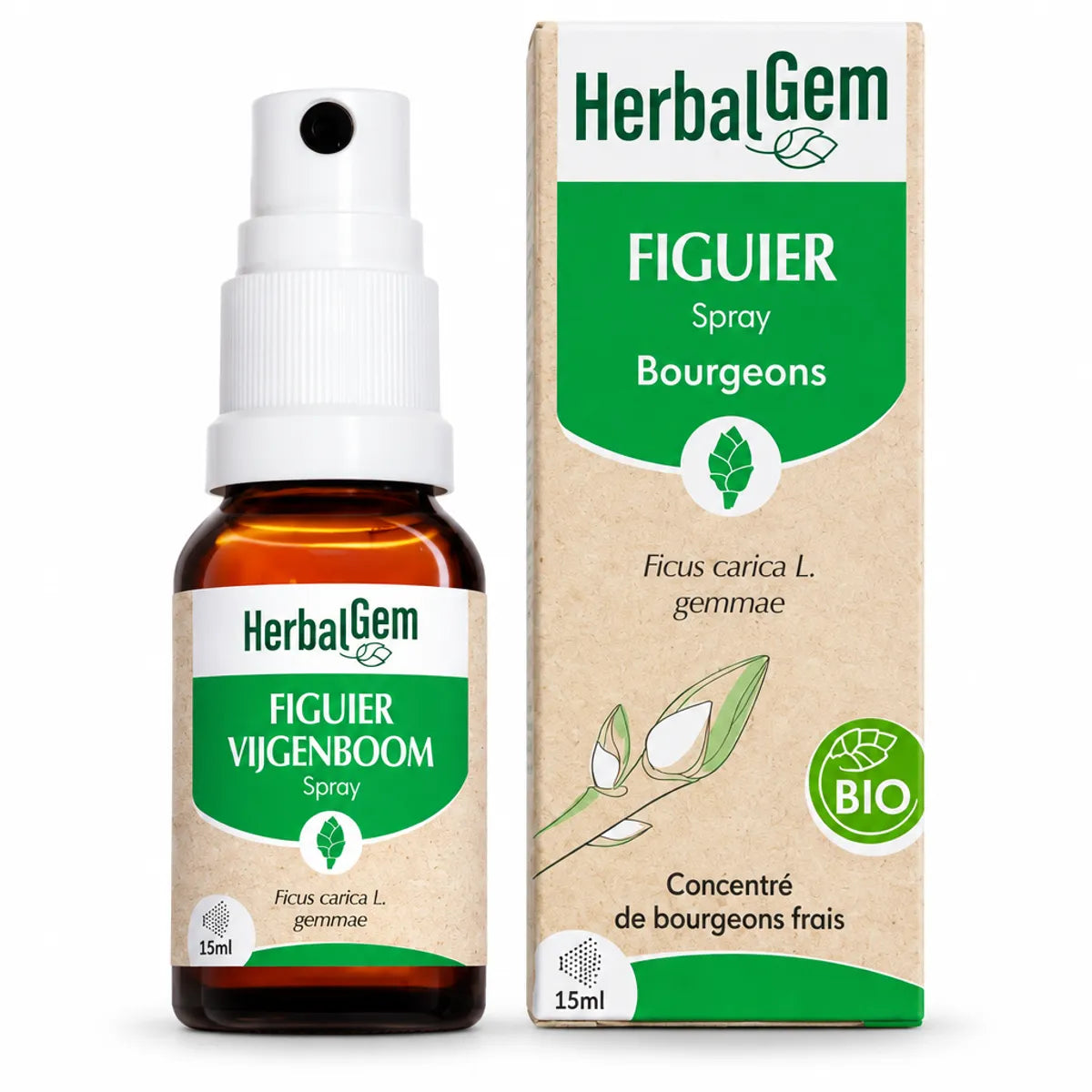 Spray Figuier Bio HerbalGem 15ml - flacon verre ambré avec emballage kraft pour stress et digestion