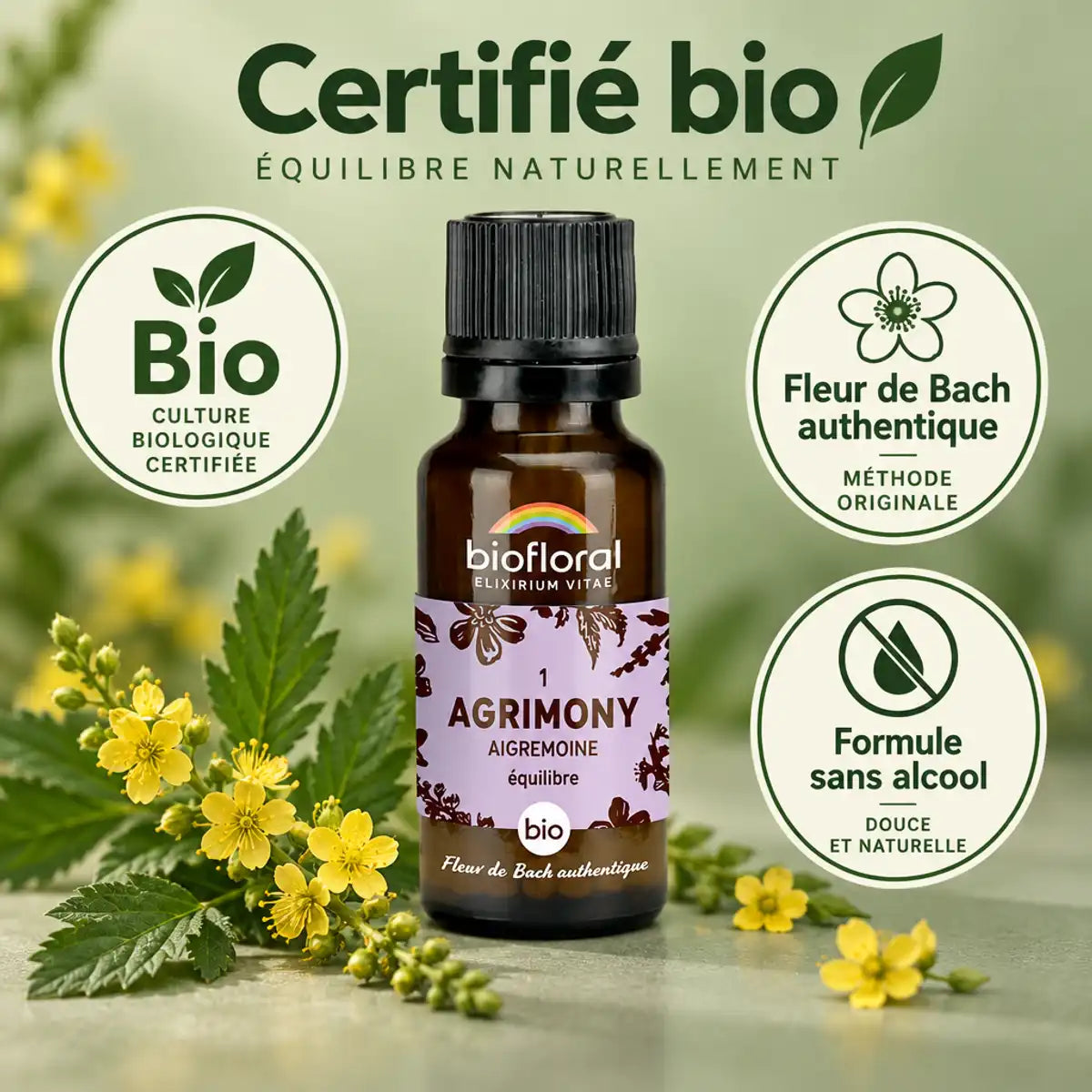 Flacon en verre ambré de Fleur de Bach Agrimony (Aigremoine) Bio Biofloral, sur fond vert sauge avec branches d'aigremoine