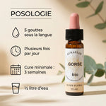 Fleur de Bach Ajonc Bio 10ml Dioter avec guide posologie et mode d'emploi