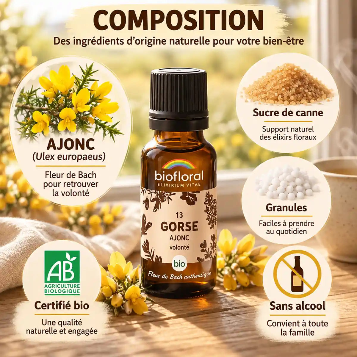 Fleur de Bach Ajonc (Gorse) Bio en granules Biofloral 19,5 g, flacon ambré, fleurs d'ajonc et certifications bio