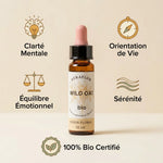 Fleur de Bach Avoine sauvage bio 10ml Dioter avec bénéfices : clarté mentale, équilibre émotionnel, sérénité