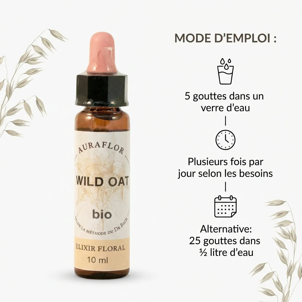 Fleur de Bach Avoine sauvage bio 10ml Dioter avec posologie et brins botaniques