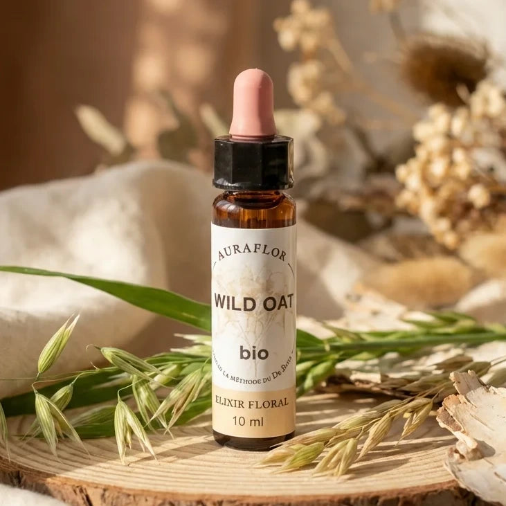 Fleur de Bach Avoine sauvage bio 10ml Dioter sur surface bois avec tiges naturelles