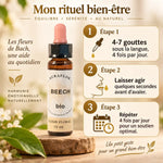 Fleur de Bach Beech bio 10ml avec instructions de dosage : 4-7 gouttes sous la langue
