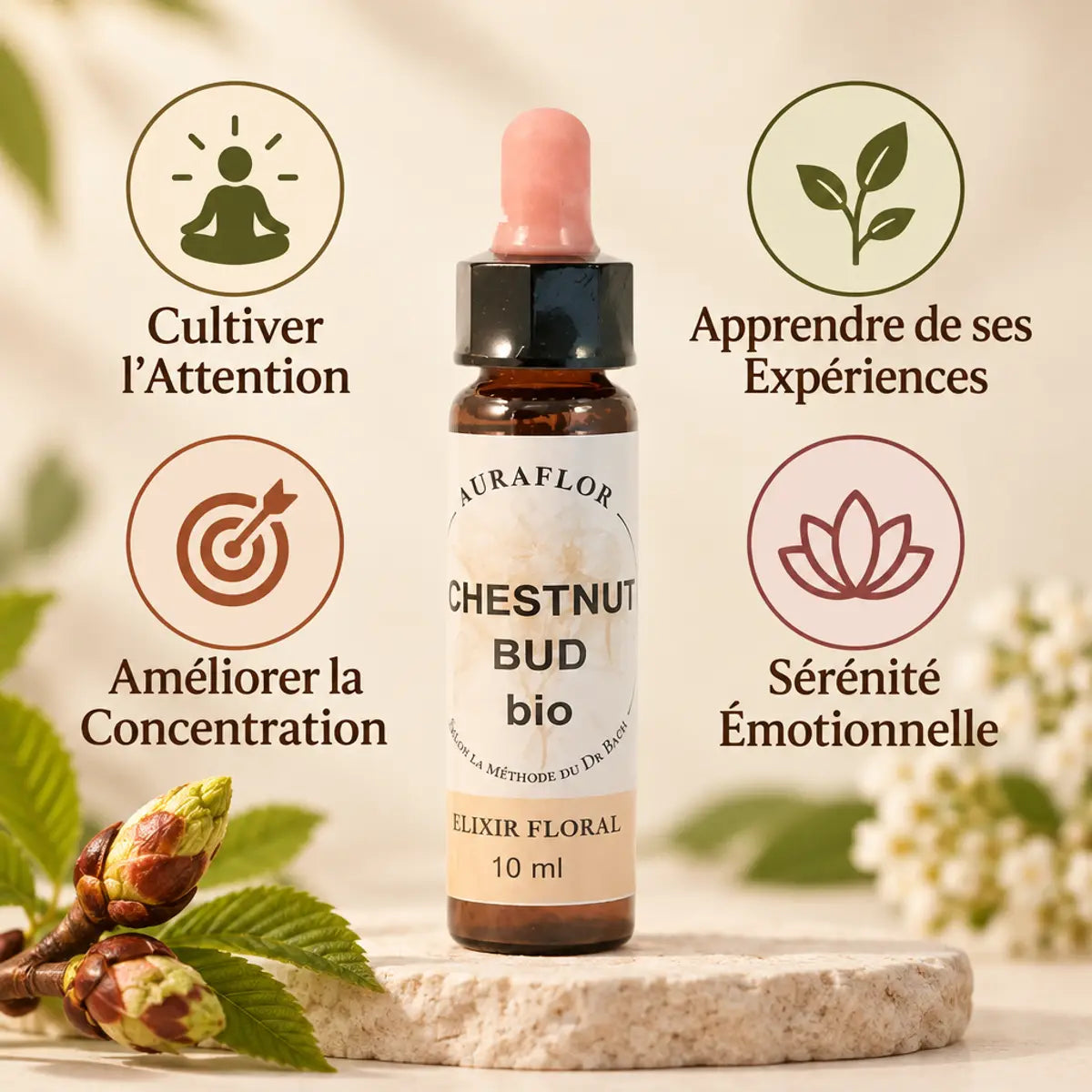 Fleur de Bach Bourgeon de marronnier bio 10ml Dioter - Concentration et sérénité émotionnelle