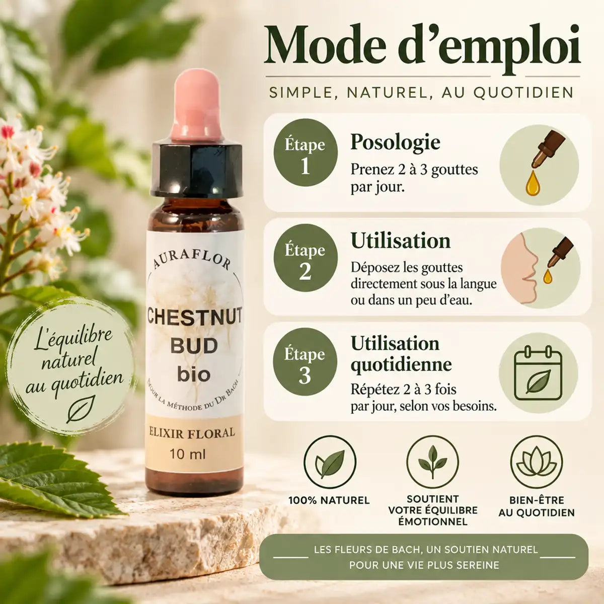 Fleur de Bach Bourgeon de marronnier Bio 10ml avec instructions posologie 2-3 gouttes par jour