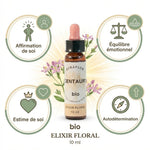 Fleur de Bach Centaurée bio 10ml avec bénéfices : affirmation de soi, équilibre émotionnel, estime de soi