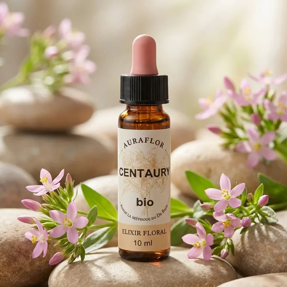 Fleur de Bach Centaurée bio 10ml en flacon avec pipette, entourée de fleurs fraîches et pierres