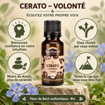 Flacon de Fleur de Bach Cerato (Plumbago) bio en granules 19,5 g, fond beige et vert sauge, mentions « Volonté » et « Fleur de Bach authentique »