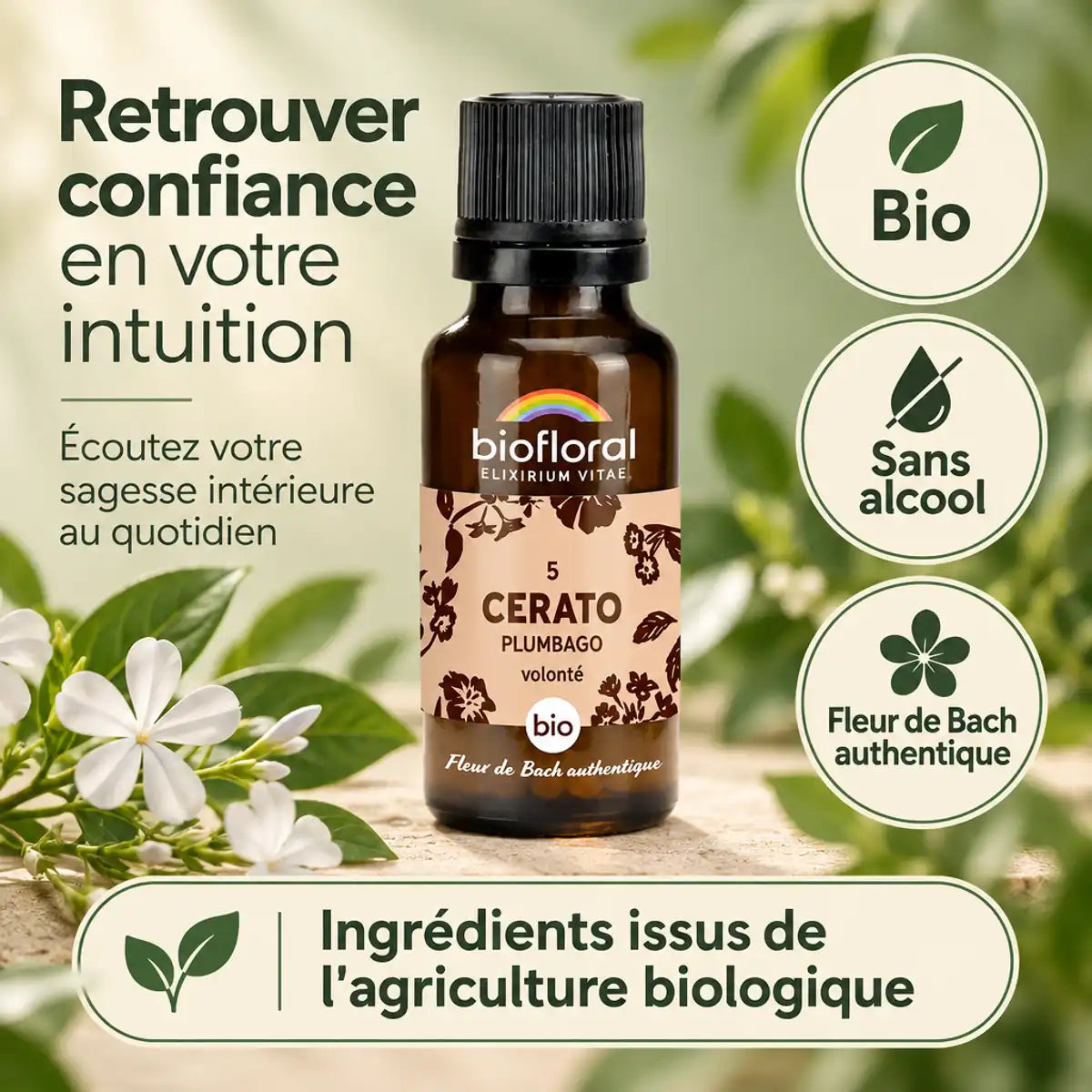 Flacon en verre ambré de Fleur de Bach Cerato (Plumbago) Bio Biofloral en granules, avec badges « Bio » et « Sans alcool »