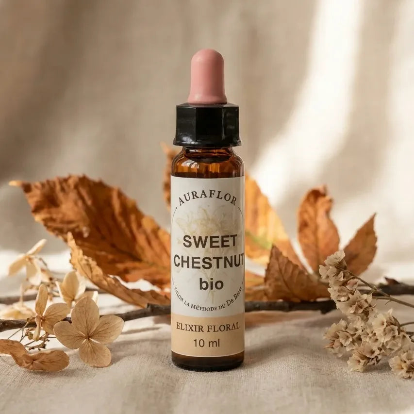 Fleur de Bach Châtaigner Bio 10ml Dioter avec feuilles et éléments botaniques sur fond beige