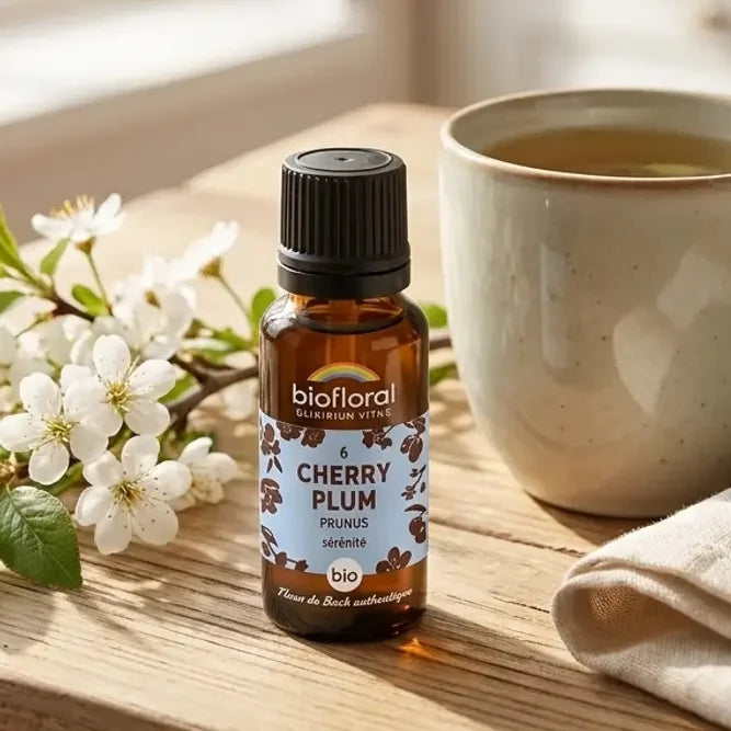 Fleur de Bach Cherry Plum bio en granules Biofloral, flacon ambré sur table en bois avec branches de myrobolan en fleurs