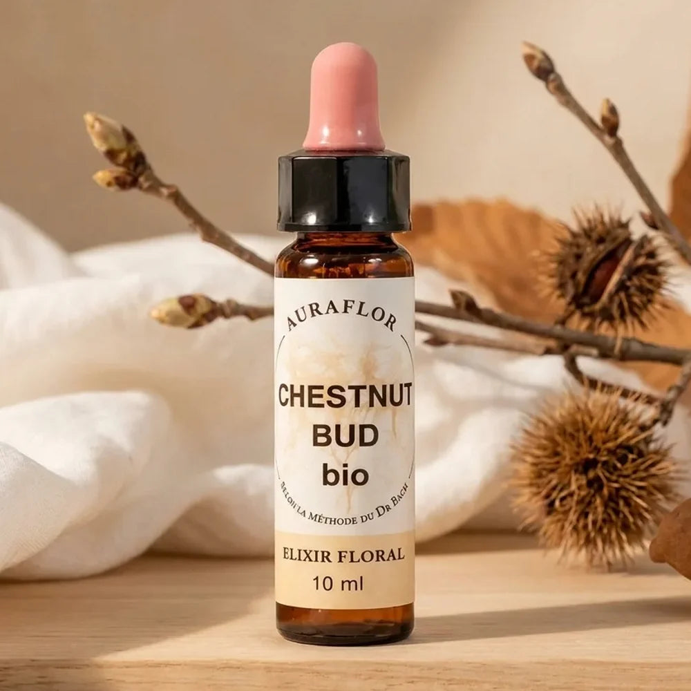 Fleur de Bach Chestnut Bud bio 10ml - bouteille ambre avec compte-gouttes rose sur surface naturelle