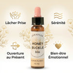 Fleur de Bach Chèvrefeuille Bio 10ml Dioter avec bénéfices : lâcher prise, sérénité, présent