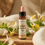 Fleur de Bach Chèvrefeuille Bio 10ml Dioter - flacon verre ambré avec compte-gouttes rose