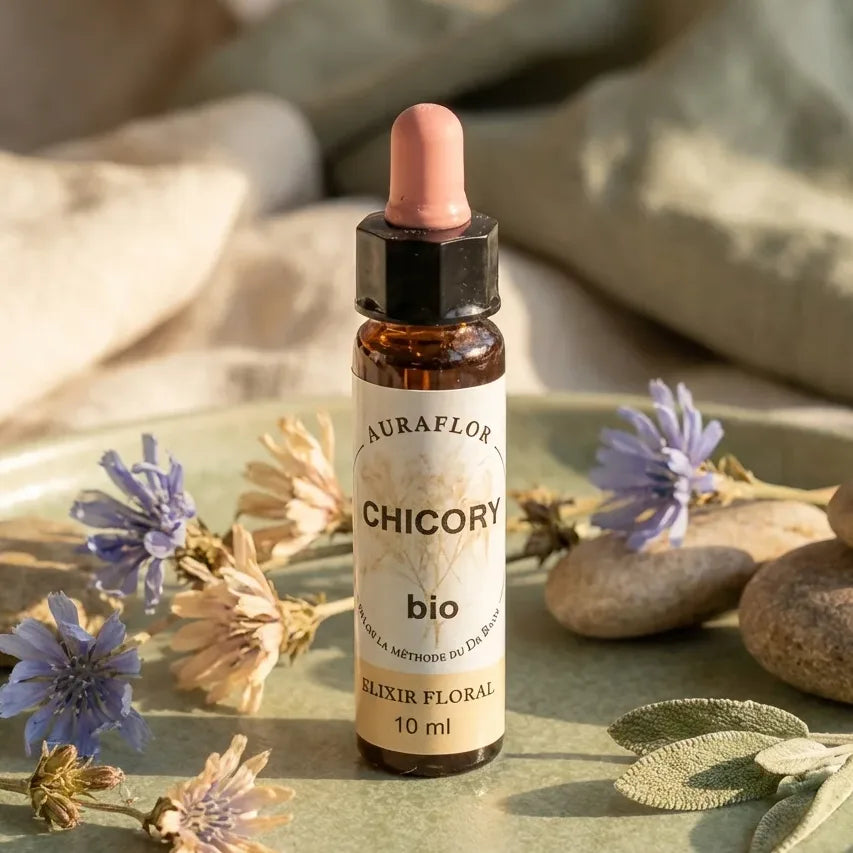 Fleur de Bach Chicorée Bio Dioter 10ml - Élixir floral en flacon avec emballage original