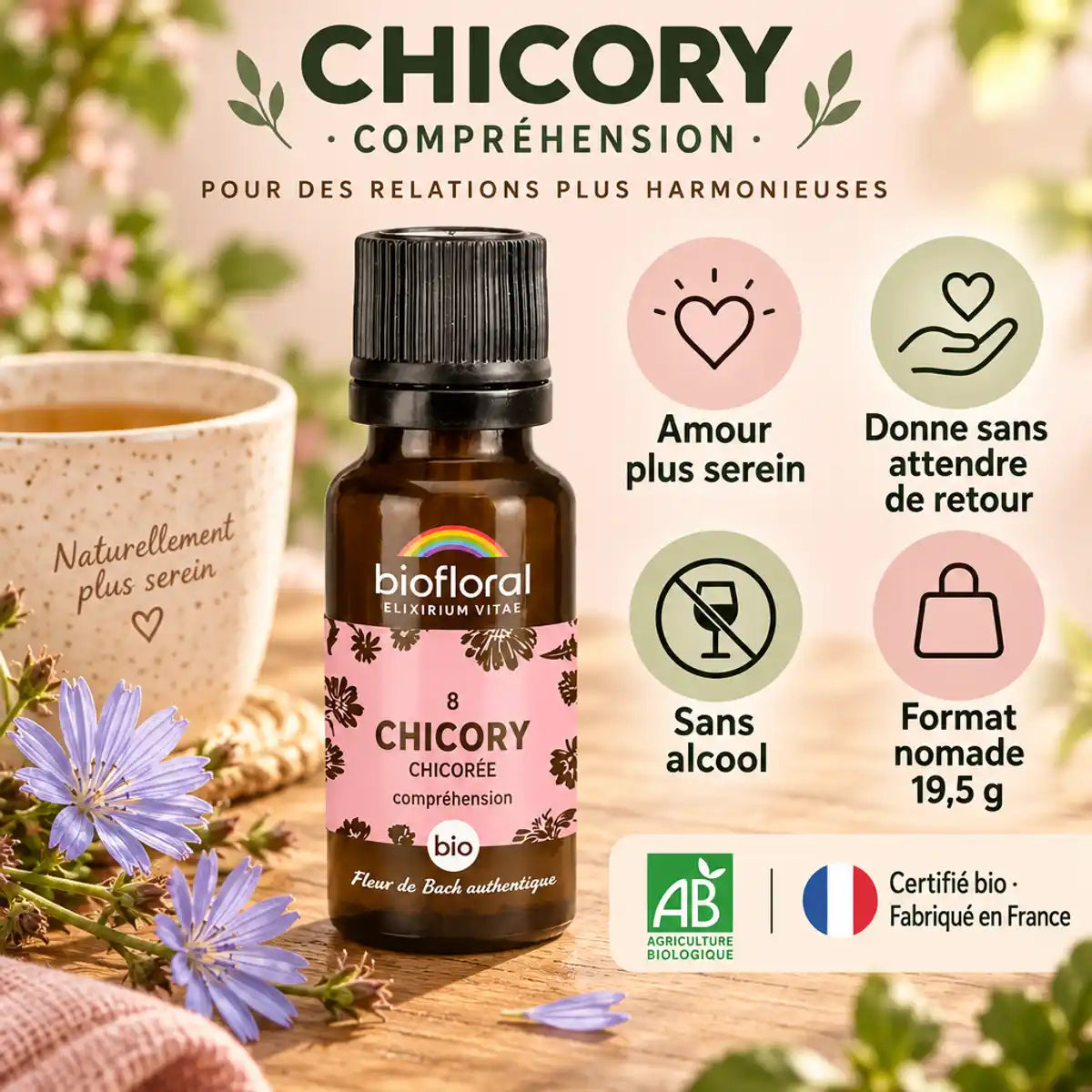 Fleur de Bach Chicory bio en granules 19,5 g Biofloral, flacon ambré à côté d'une tisane et de fleurs de chicorée bleues