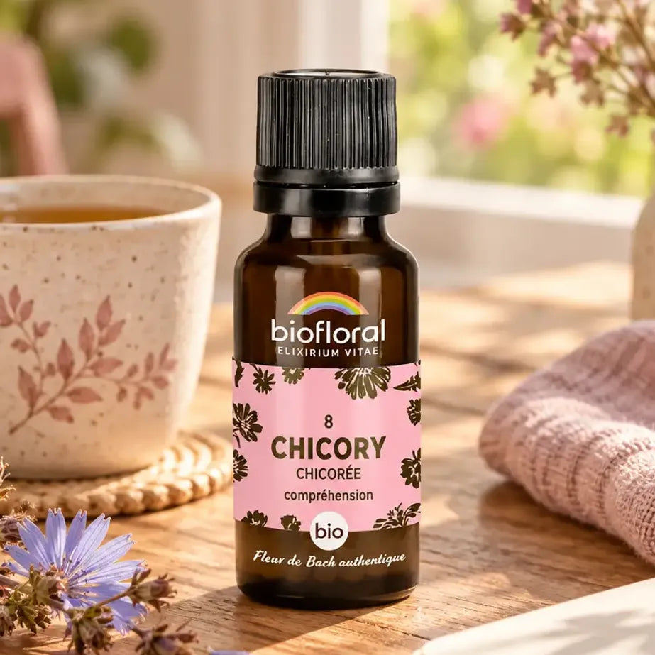 Flacon compte-gouttes ambré Fleur de Bach Chicorée bio en granules, posé sur une table en bois avec tisane, serviette en lin et fleurs séchées