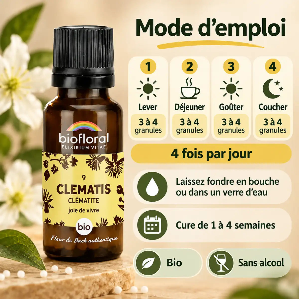 Flacon Fleur de Bach Clematis Bio en granules avec mode d'emploi : 3 à 4 granules, 4 fois par jour, cure de 1 à 4 semaines