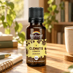 Flacon en verre ambré de Fleur de Bach Clematis Biofloral sur un bureau en bois, avec carnet, plante et tasse de thé