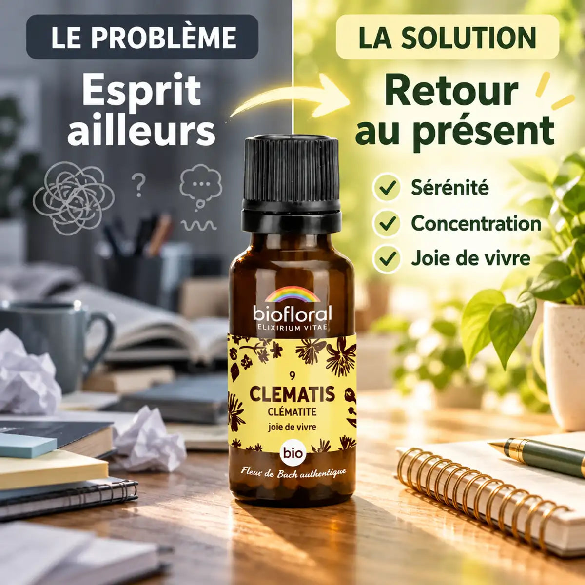 Flacon Fleur de Bach Clématite Biofloral bio en granules : passer de l'esprit ailleurs au retour au présent