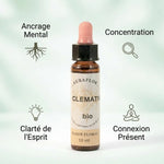 Fleur de Bach Clématite bio 10ml - Bouteille en verre avec bouchon, bénéfices mentaux