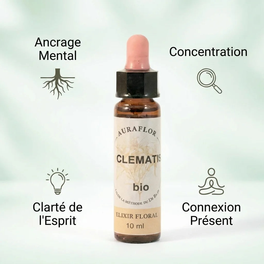 Fleur de Bach Clématite bio 10ml - Bouteille en verre avec bouchon, bénéfices mentaux