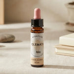 Fleur de Bach Clématite bio 10ml Dioter en flacon verre brun avec pipette rose